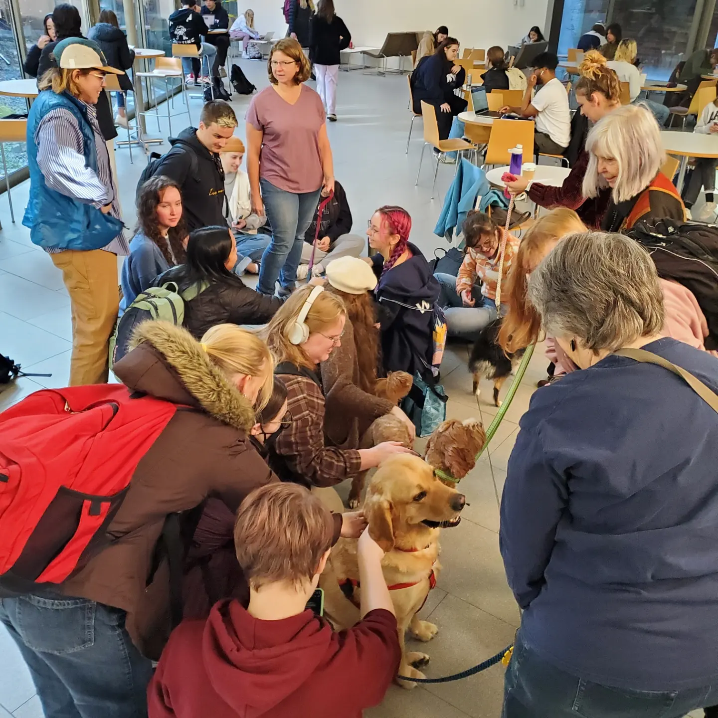 Students and staff clustered around cute dogs on World Kindness Day
